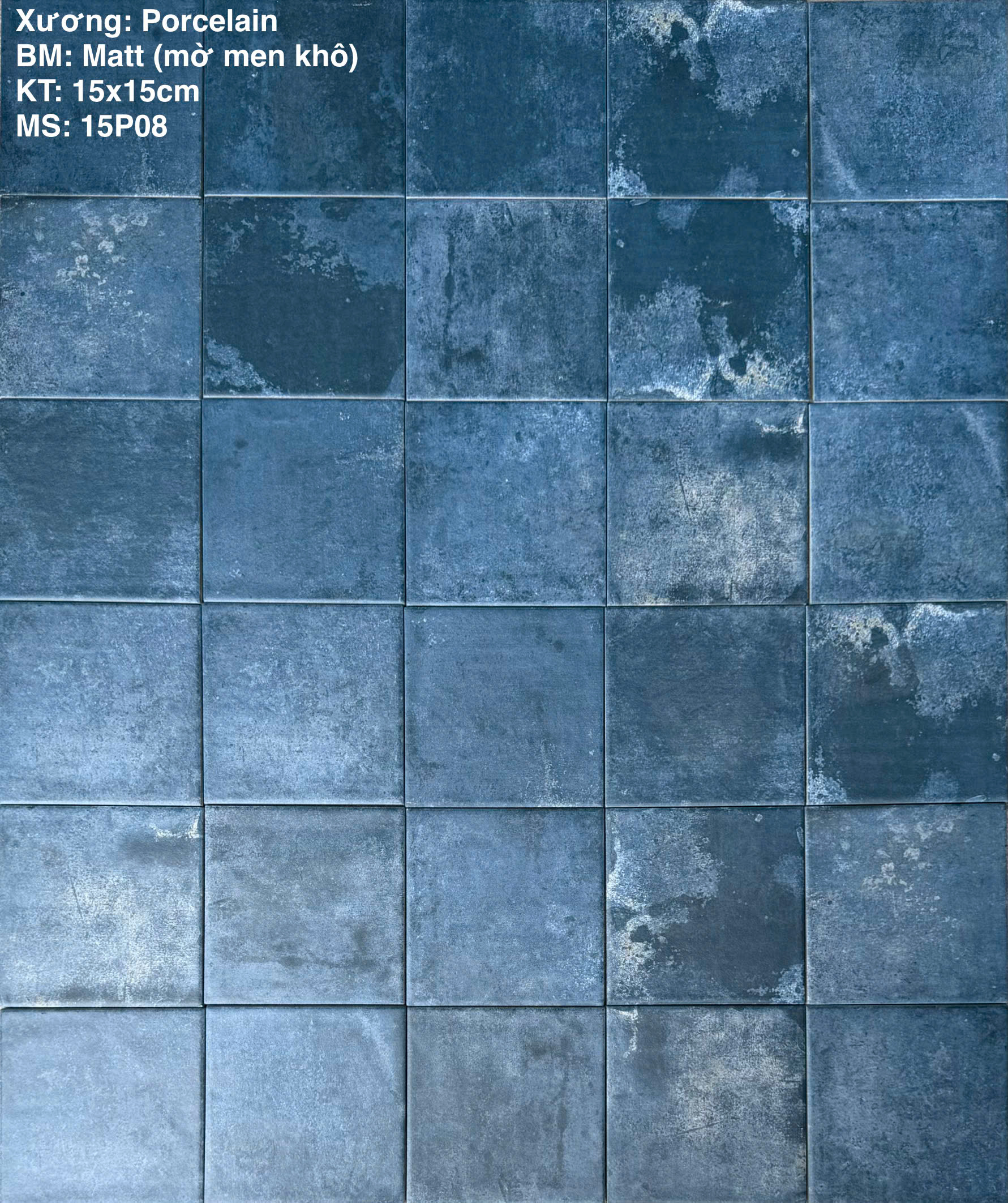 GẠCH THẺ PATINA 15P08
