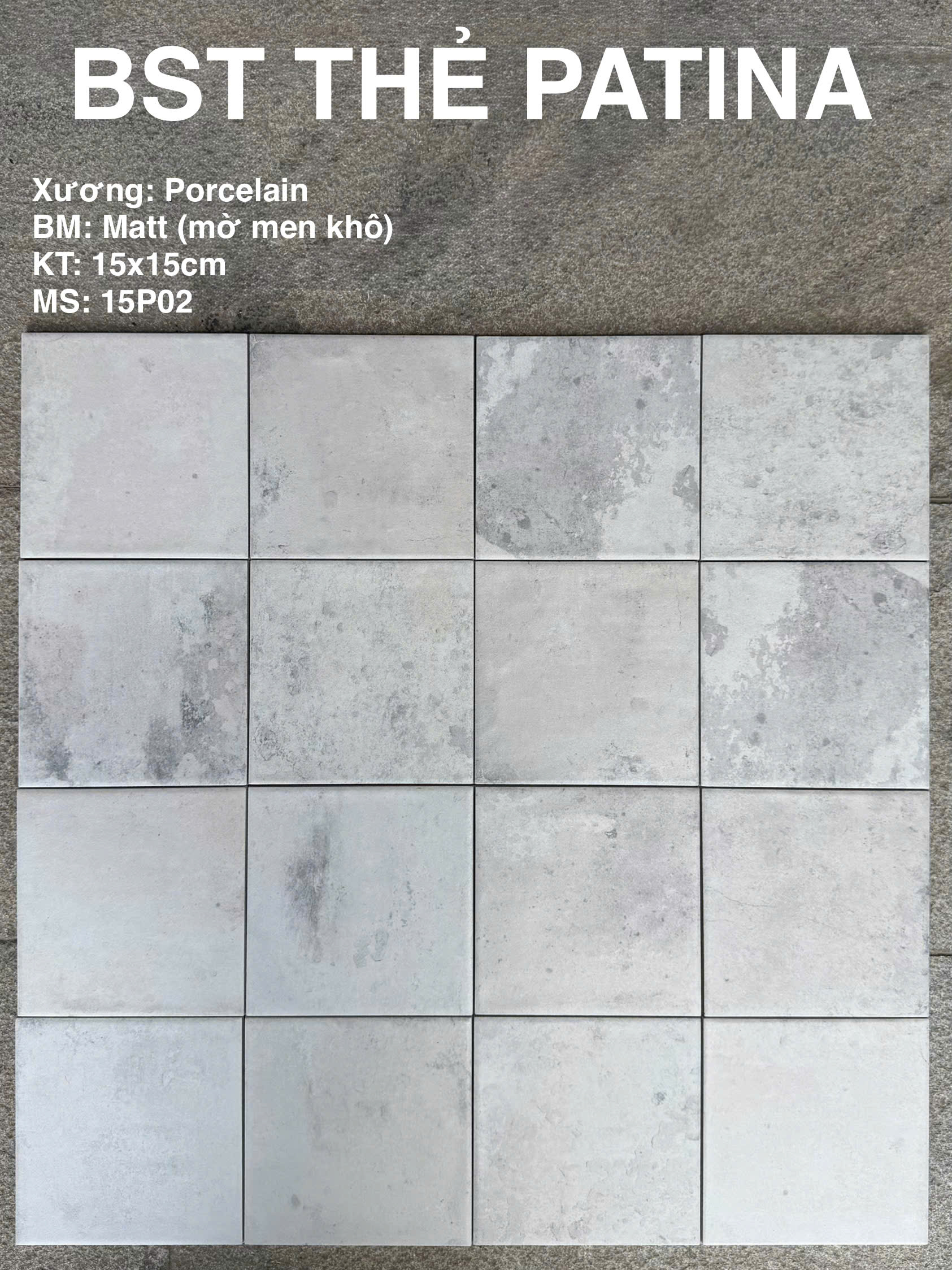 GẠCH THẺ PATINA 15P02